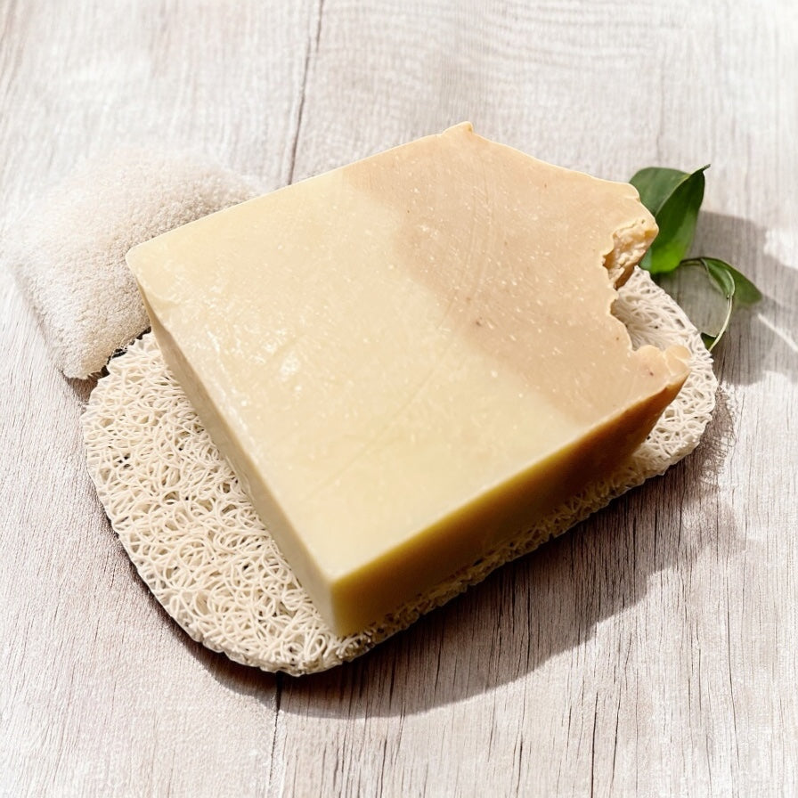 Soap Saver Pad